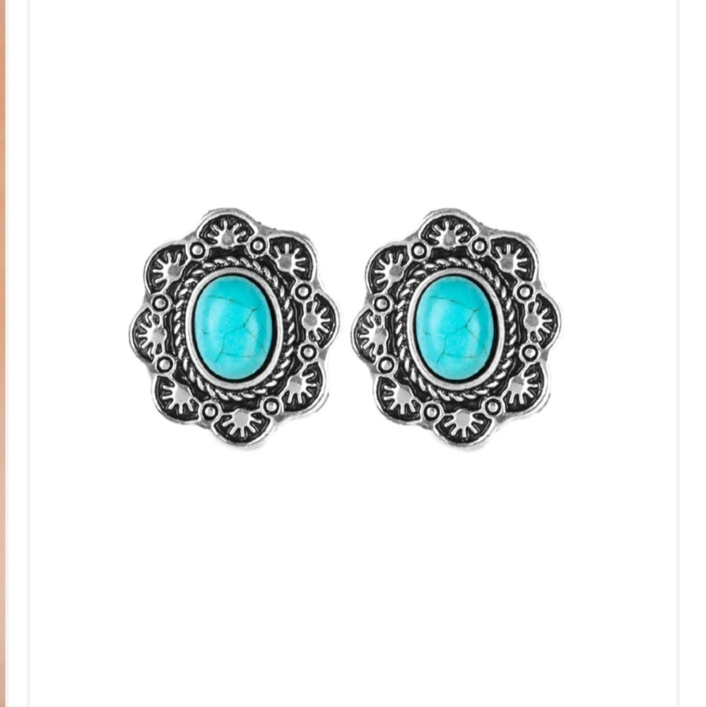 Springtime Deserts Blue Cute Silver Post